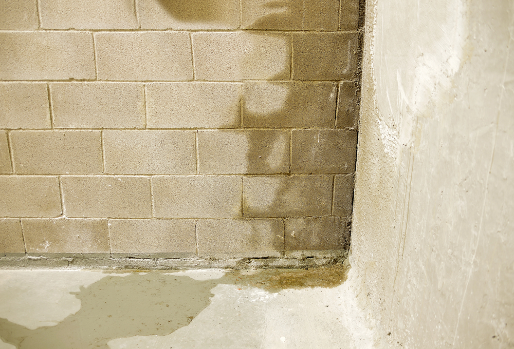 Water stains and discoloration are visible on a concrete block wall and floor, indicating possible moisture or leakage issues in the corner of the room.